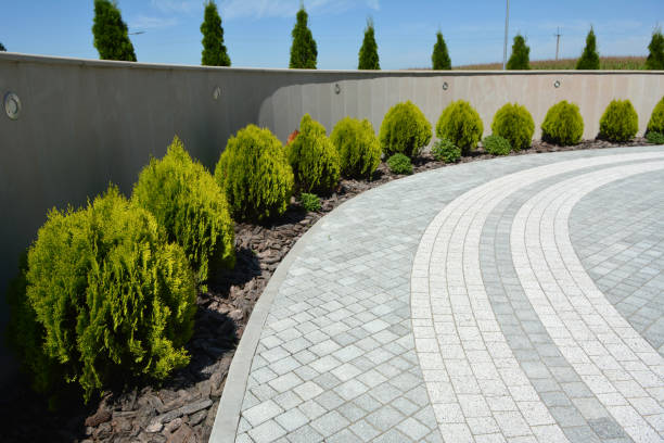 Best Interlocking Driveway Pavers  in Soh Willard, UT